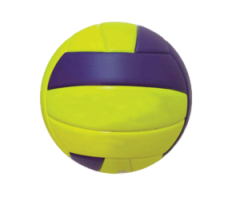 Bola de Vôlei Adulto Oficial