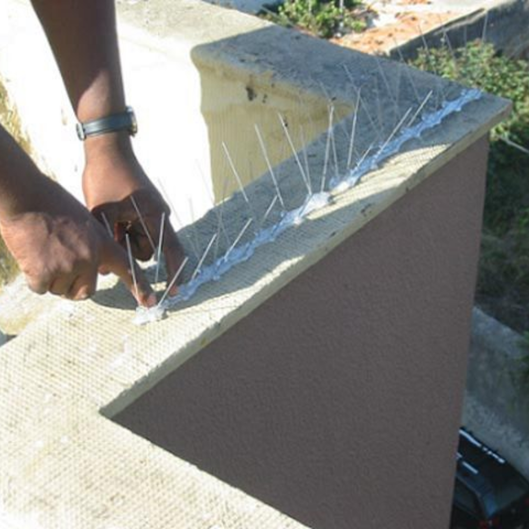 Serviços de Controle de Pombos – Repelência, Barreiras Físicas e Manejo de Colônias